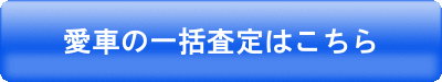 �J�[�r���[�ꊇ����͂�����